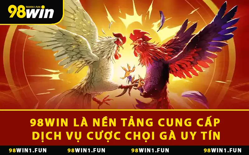 98WIN là nền tảng cung cấp dịch vụ cược chọi gà uy tín