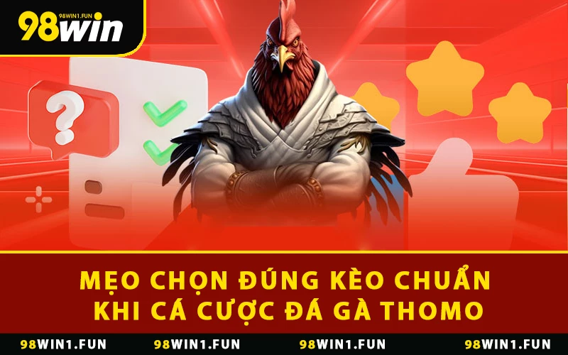 Mẹo chọn đúng kèo chuẩn khi cá cược đá gà Thomo