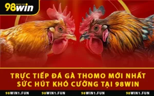 Trực Tiếp Đá Gà Thomo Mới Nhất: Sức Hút Khó Cưỡng Tại 98WIN