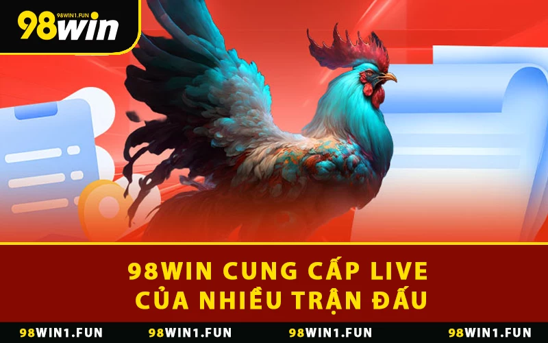 98WIN cung cấp live của nhiều trận đấu